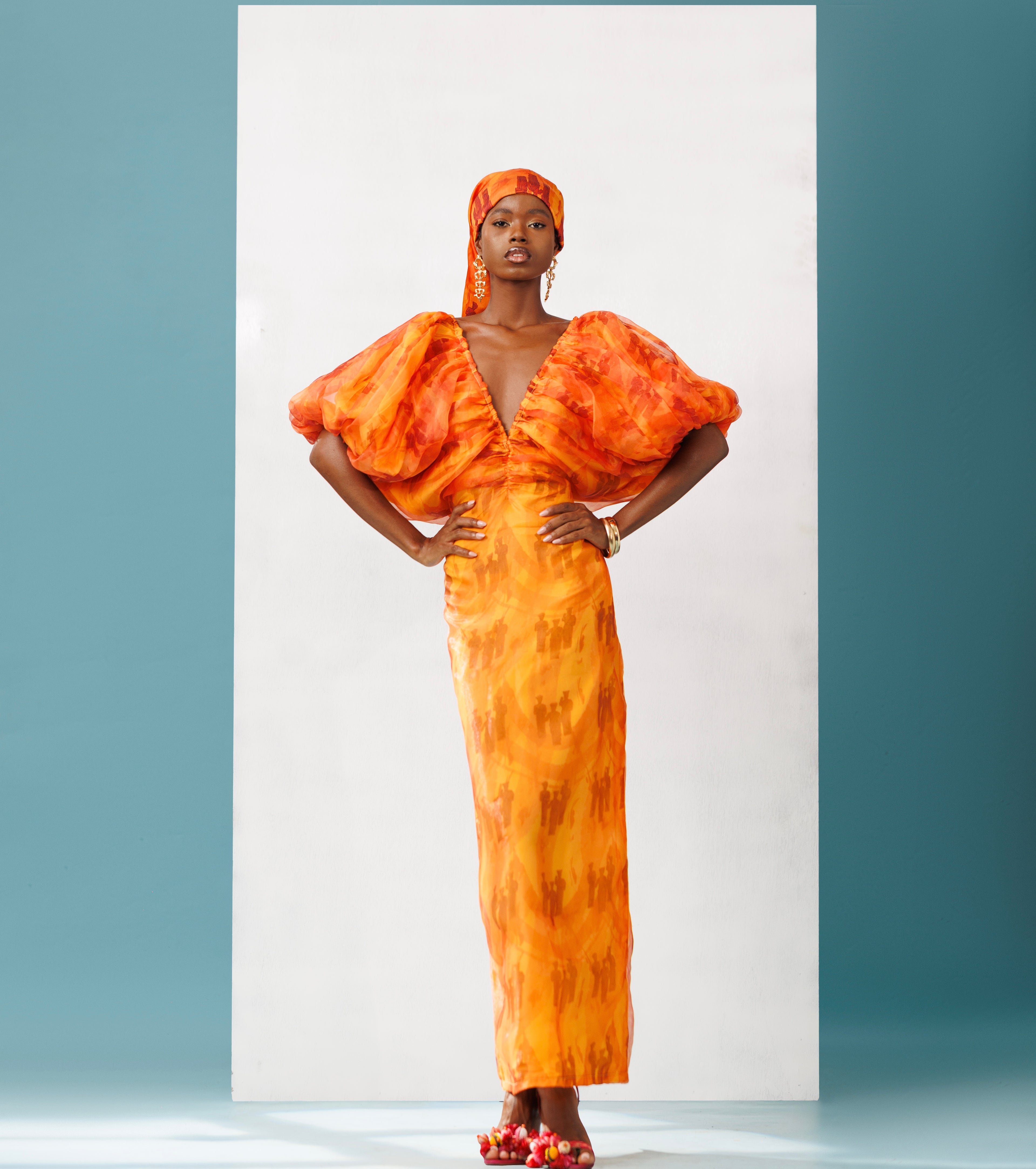 Organza Puffy Sleeve Dress
