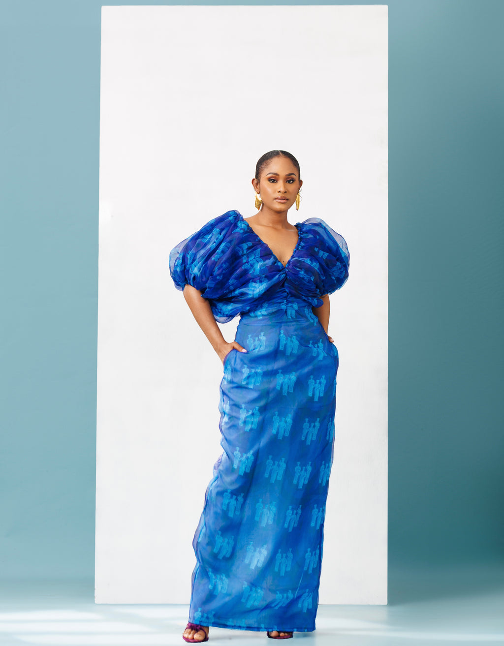 Organza Puffy Sleeve Dress